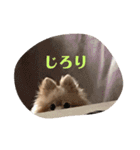 僕の名前はくぅとくん（個別スタンプ：7）
