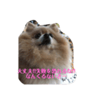 僕の名前はくぅとくん（個別スタンプ：22）