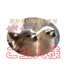 のんきい❤（個別スタンプ：1）