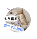 のんきい❤（個別スタンプ：3）