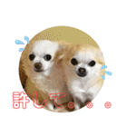 のんきい❤（個別スタンプ：6）