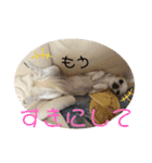 のんきい❤（個別スタンプ：10）