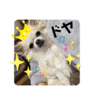 のんきい❤（個別スタンプ：11）