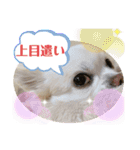 のんきい❤（個別スタンプ：12）
