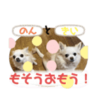 のんきい❤（個別スタンプ：13）