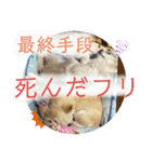 のんきい❤（個別スタンプ：16）