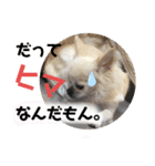 のんきい❤（個別スタンプ：17）