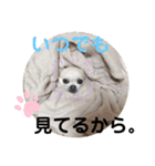 のんきい❤（個別スタンプ：18）