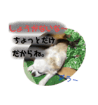 のんきい❤（個別スタンプ：19）
