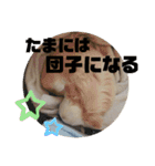 のんきい❤（個別スタンプ：21）