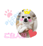 のんきい❤（個別スタンプ：22）