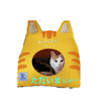 三毛猫3姉妹（個別スタンプ：10）