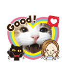 三毛猫3姉妹（個別スタンプ：19）