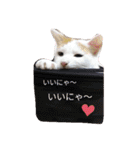 三毛猫3姉妹（個別スタンプ：20）