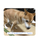 はなちゃん2☆（個別スタンプ：16）