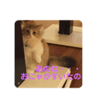 はじめまして、にゃあです！（個別スタンプ：8）