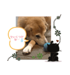 ハラス2020（個別スタンプ：7）