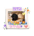 ハラス2020（個別スタンプ：10）