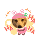 ハラス2020（個別スタンプ：14）