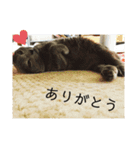 ももイロイロ（個別スタンプ：1）