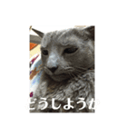ももイロイロ（個別スタンプ：4）