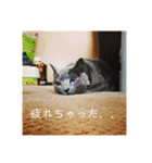 ももイロイロ（個別スタンプ：7）