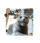 ももイロイロ（個別スタンプ：8）