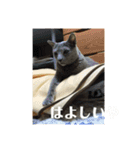 ももイロイロ（個別スタンプ：11）
