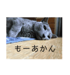 ももイロイロ（個別スタンプ：12）