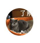 ももイロイロ（個別スタンプ：13）