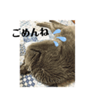 ももイロイロ（個別スタンプ：16）