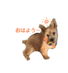 日常使えるノーリッチなマット＆ねね＆ロビン（個別スタンプ：2）