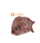日常使えるノーリッチなマット＆ねね＆ロビン（個別スタンプ：10）