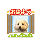 マルックス★ここ（個別スタンプ：1）