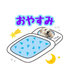 マルックス★ここ（個別スタンプ：2）