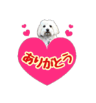 マルックス★ここ（個別スタンプ：3）