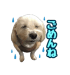 マルックス★ここ（個別スタンプ：4）