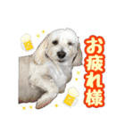 マルックス★ここ（個別スタンプ：7）