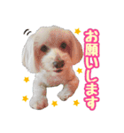 マルックス★ここ（個別スタンプ：9）
