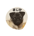 Lovefamilyー（個別スタンプ：1）
