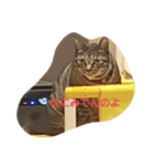 Lovefamilyー（個別スタンプ：6）