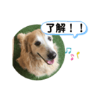 相槌打つなら（個別スタンプ：1）