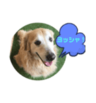 相槌打つなら（個別スタンプ：3）