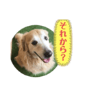 相槌打つなら（個別スタンプ：4）