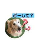 相槌打つなら（個別スタンプ：8）