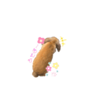 ロップくん2（個別スタンプ：7）