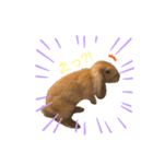 ロップくん2（個別スタンプ：8）