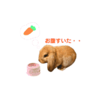 ロップくん2（個別スタンプ：15）