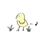 シンプル ひよこちゃん（個別スタンプ：1）