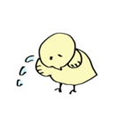 シンプル ひよこちゃん（個別スタンプ：11）